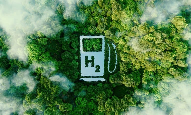 الهيدروجين الأخضر - اشجار